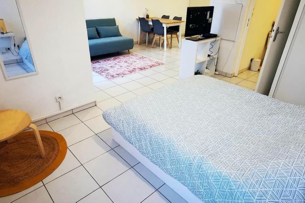 Grand Studio Lumineux Et Sa Terrasse Au Calme Toulouse Kültér fotó