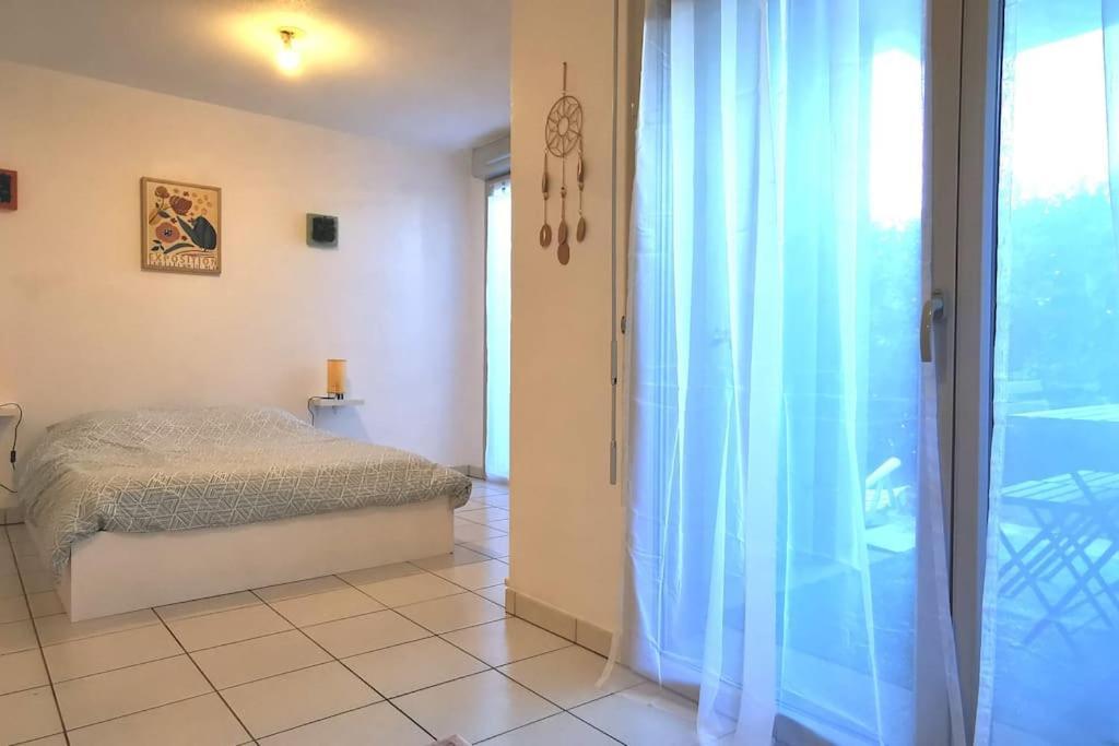 Grand Studio Lumineux Et Sa Terrasse Au Calme Toulouse Kültér fotó