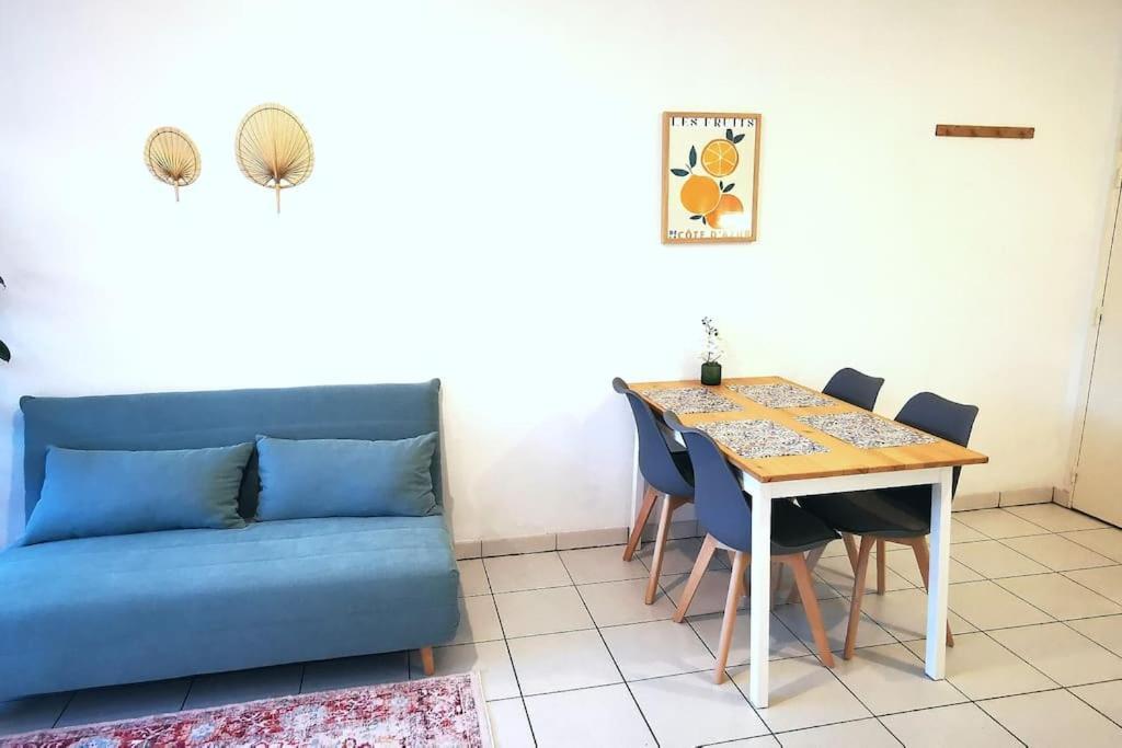 Grand Studio Lumineux Et Sa Terrasse Au Calme Toulouse Kültér fotó