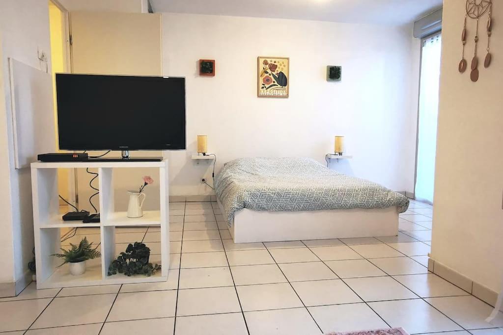 Grand Studio Lumineux Et Sa Terrasse Au Calme Toulouse Kültér fotó