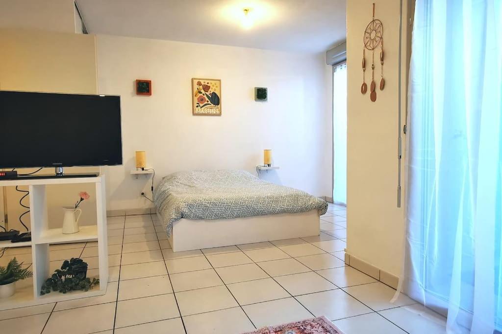 Grand Studio Lumineux Et Sa Terrasse Au Calme Toulouse Kültér fotó