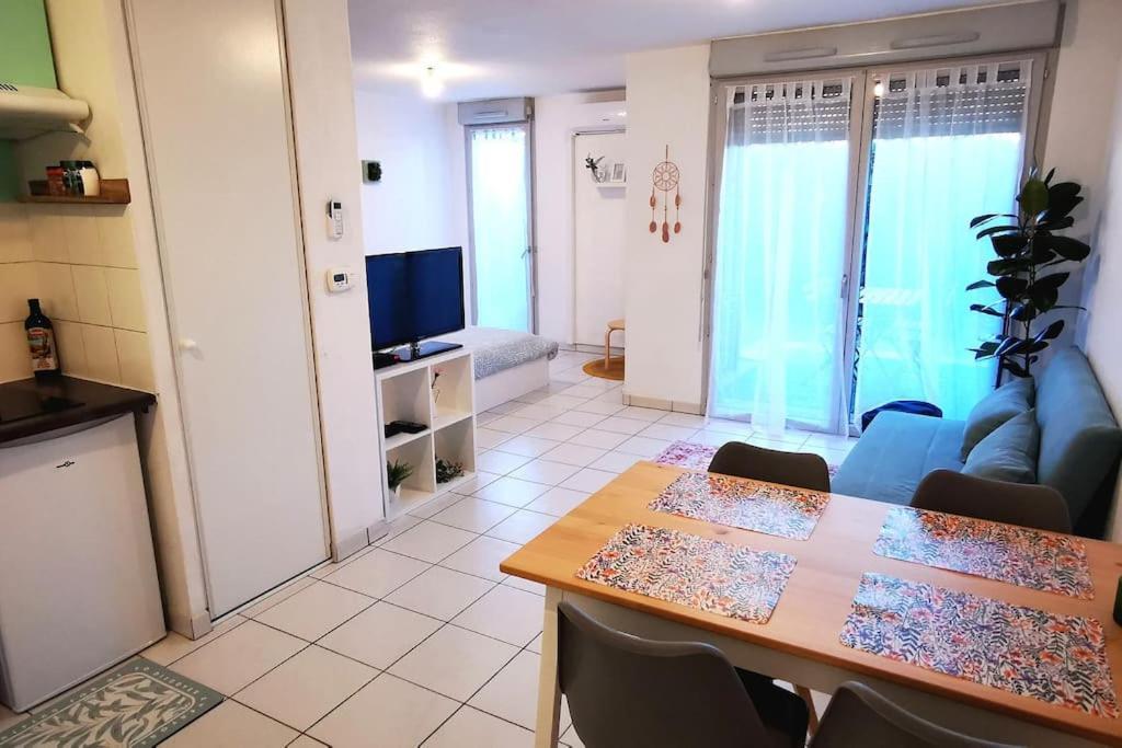 Grand Studio Lumineux Et Sa Terrasse Au Calme Toulouse Kültér fotó