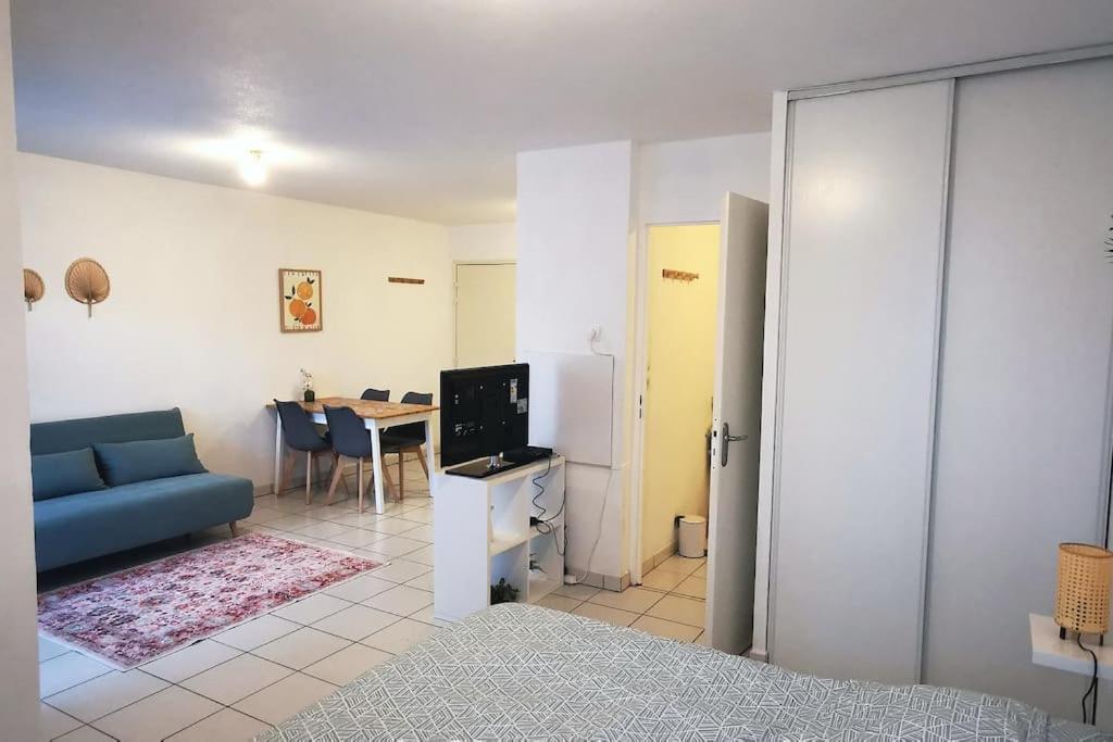 Grand Studio Lumineux Et Sa Terrasse Au Calme Toulouse Kültér fotó