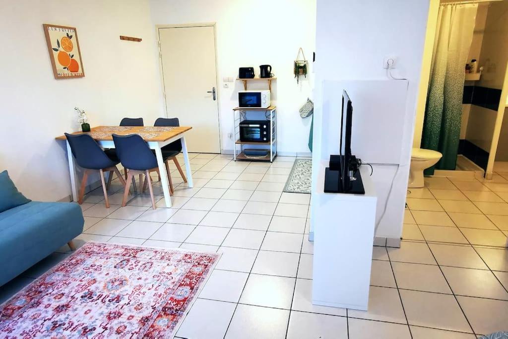 Grand Studio Lumineux Et Sa Terrasse Au Calme Toulouse Kültér fotó