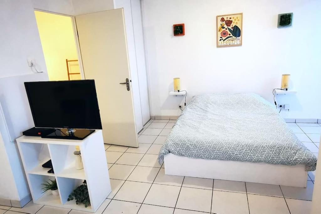 Grand Studio Lumineux Et Sa Terrasse Au Calme Toulouse Kültér fotó