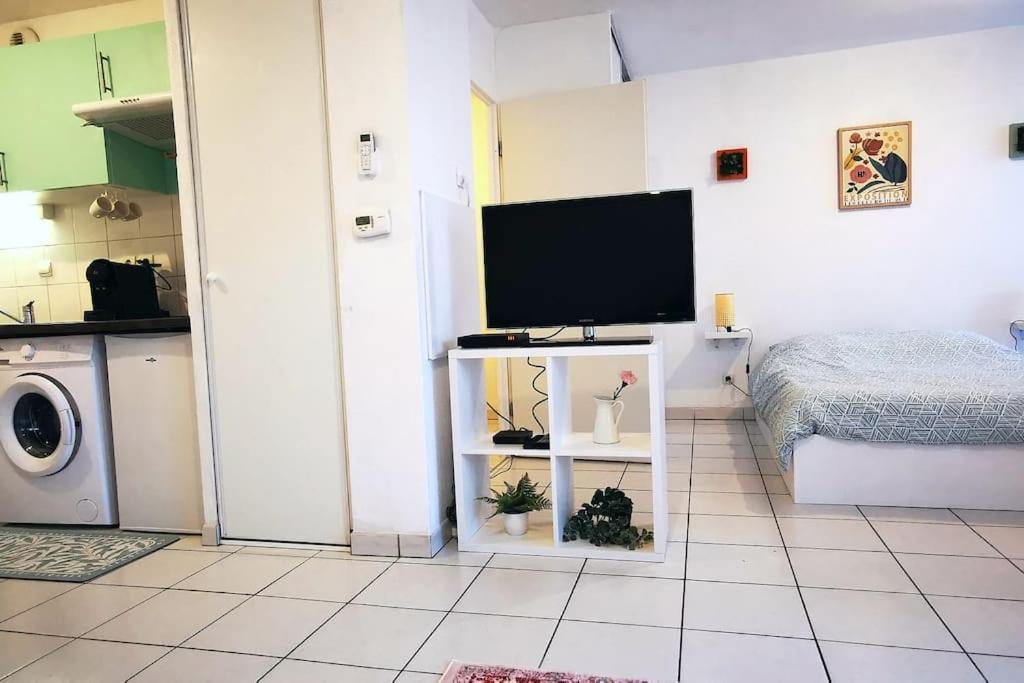 Grand Studio Lumineux Et Sa Terrasse Au Calme Toulouse Kültér fotó